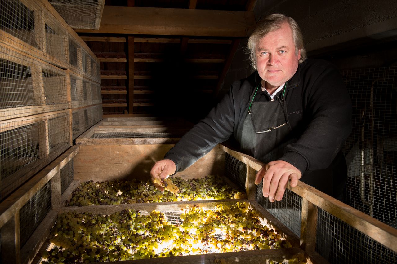 Vins Vigneron François Mossu Mossu-0008